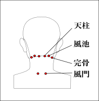 頭痛に効くツボ-天柱-風池-完骨-風門
